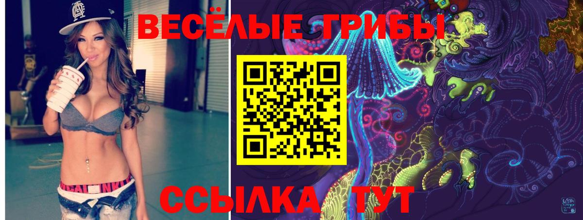 Кисловодск  Галлюциногенные грибы Psilocybe  Вход с VPN  Псилоцибиновые грибы прущие грибы 